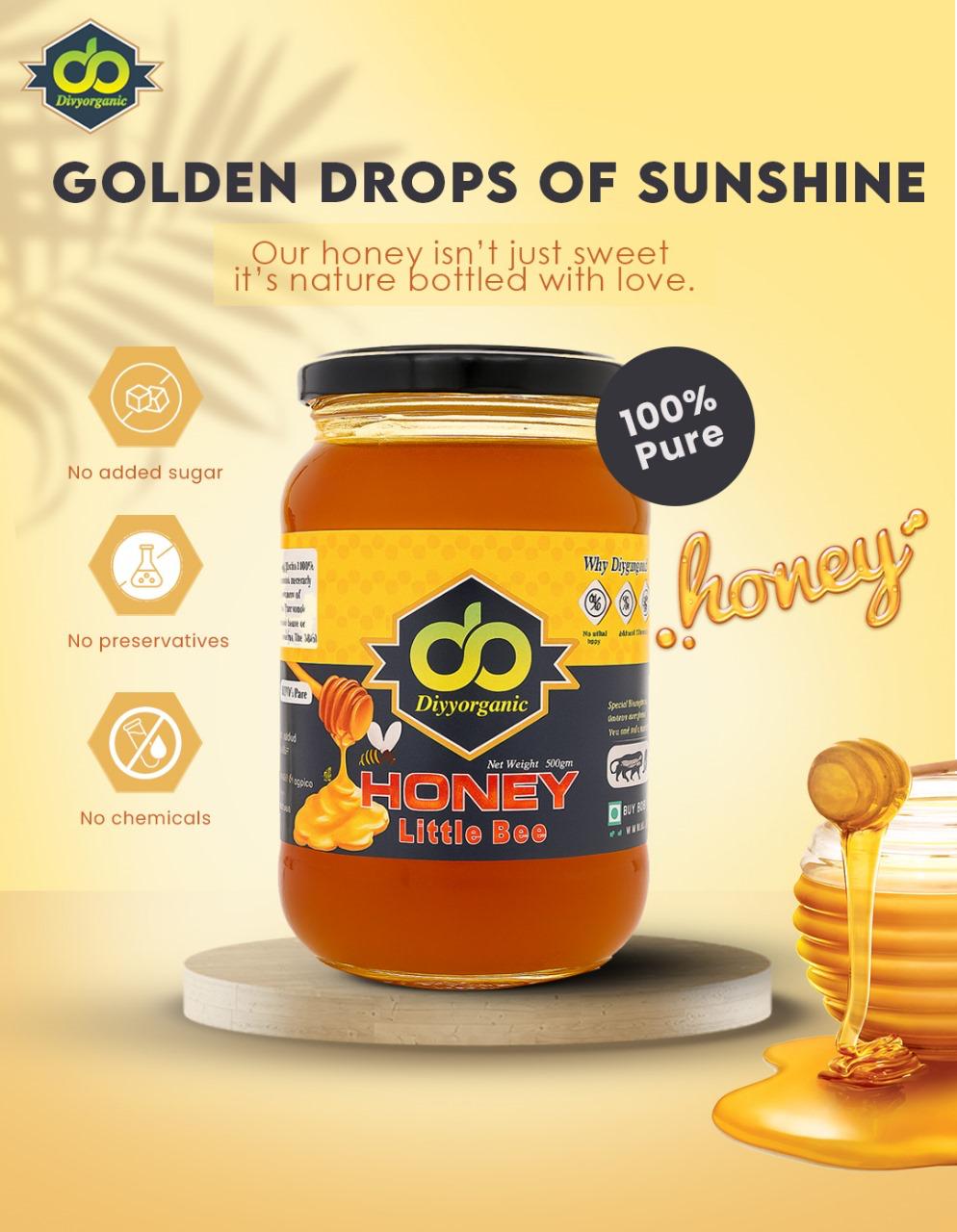 WhatsApp Image 2025-11-06 at 6.35.01 PM